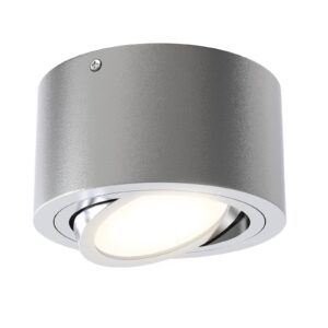 LED stropní bodové světlo Tube 7121-014 stříbrná