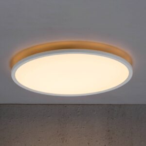 LED stropní svítidlo Bronx 2 700 K, Ø 42 cm