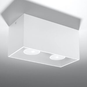Stropní světlo Ara Maxi z hliníku 2 zdroje bílá