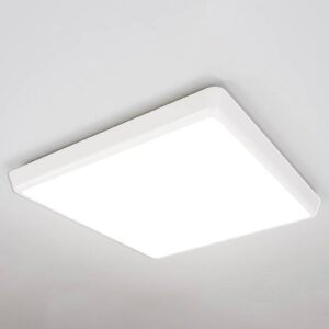 LED stropní svítidlo Augustin, IP54, 40 cm