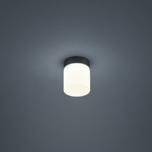 Helestra Keto LED stropní světlo, kulaté, černá