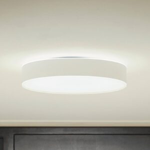 Philips Hue Enrave LED stropní světlo 38,1cm bílá